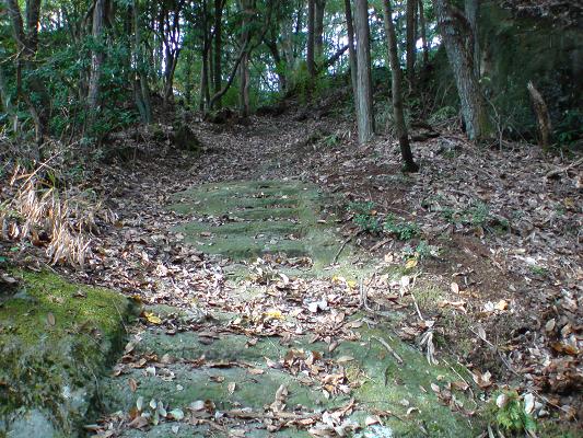 高森神社の石段.jpg